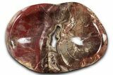 Colorful Polished Petrified Wood Bowl - Madagascar #346833-1